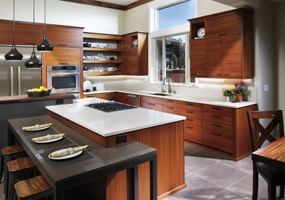 Contemporary kitchen cabinets